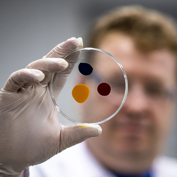 P&D, R&D AND INNOVATION